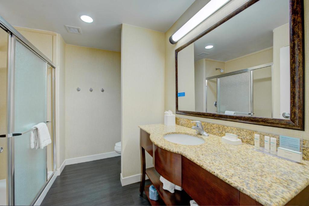 Hampton Inn Baton Rouge - Denham Springs - image 6