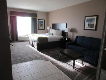 Best Western Plus Denver City Hotel & Suites - image 10