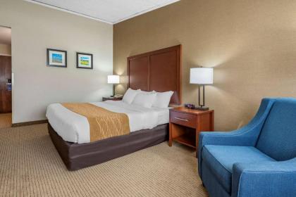 Comfort Inn Lancaster County North - image 10