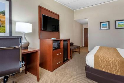 Comfort Inn Lancaster County North - image 11