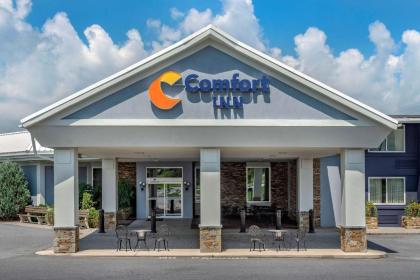 Comfort Inn Lancaster County North - image 5