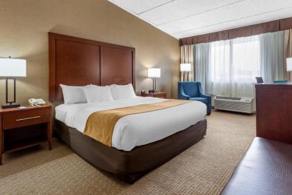 Comfort Inn Lancaster County North - image 9