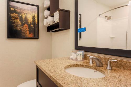 Hampton Inn & Suites Denver Tech Center - image 4