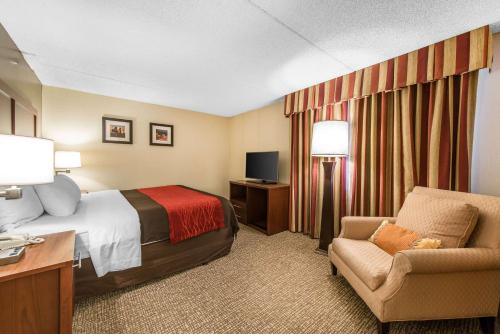 Comfort Inn & Suites Denver Northfield - image 4