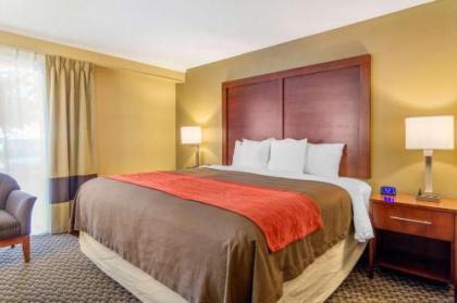 Comfort Inn Denver Central - image 2