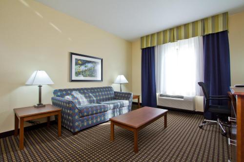 Holiday Inn Express and Suites Denver East Peoria Street an IHG Hotel - image 2