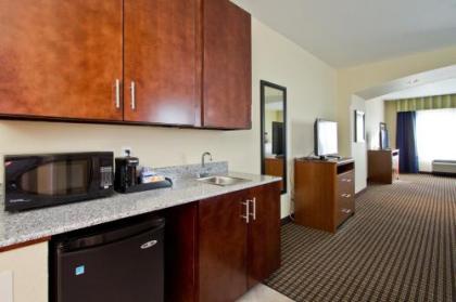 Holiday Inn Express and Suites Denver East Peoria Street an IHG Hotel - image 3