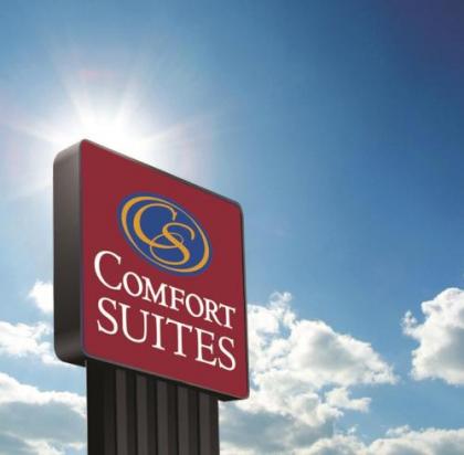 Comfort Suites Denver International Airport - image 2