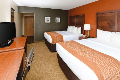 Comfort Inn & Suites Event Center - image 2