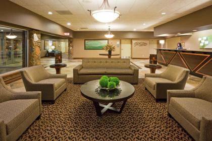 Holiday Inn Detroit Lakes an IHG Hotel - image 19