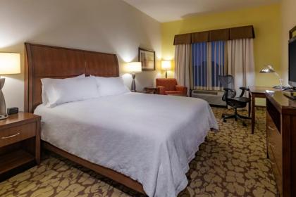 Hilton Garden Inn Devens Common - image 8