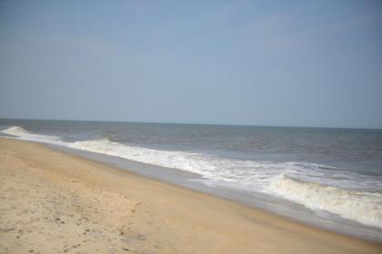 Beach House Dewey - image 9