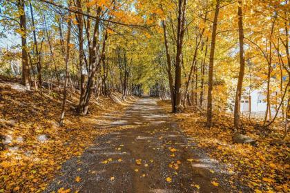 Cozy Apt by ITS 85 Trail half Mi to Lake Wassookeag! - image 9