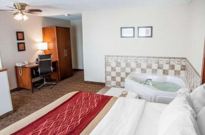 Comfort Inn Dickinson - image 8