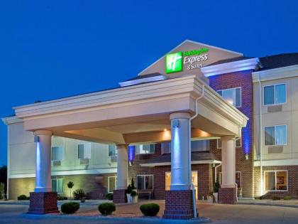 Holiday Inn Express Hotel & Suites Dickinson - image 3