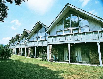 mountain Retreat Chalets in the Beauty of Sky Valley Georgia