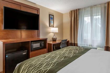 Comfort Inn & Suites Dimondale - image 2