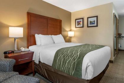 Comfort Inn & Suites Dimondale - image 3