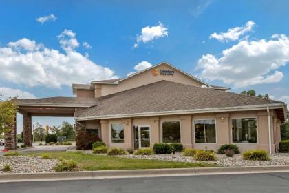 Comfort Inn & Suites Dimondale - image 7