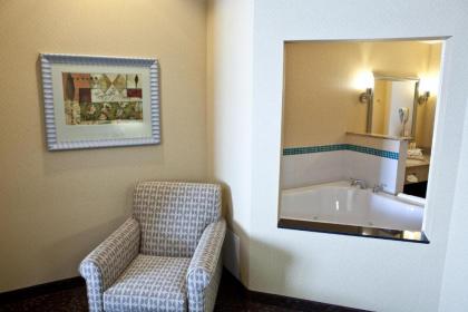 Holiday Inn Express Hotel & Suites Lansing-Dimondale an IHG Hotel - image 12