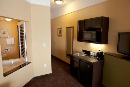 Holiday Inn Express Hotel & Suites Lansing-Dimondale an IHG Hotel - image 9