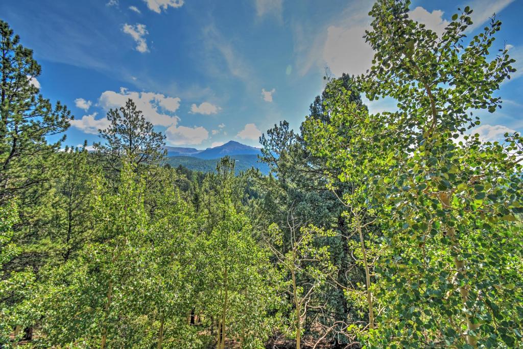 Horseshoe Lodge Divide Cabin with Furnished Deck! - image 7