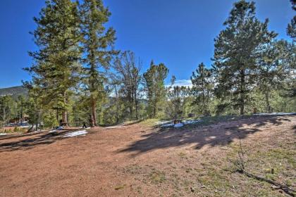 Cabin with Mtn Views - 5 Mi to Mueller State Park! - image 4