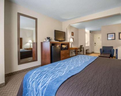 Quality Inn & Suites - image 12