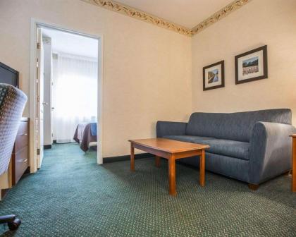 Quality Inn & Suites - image 9