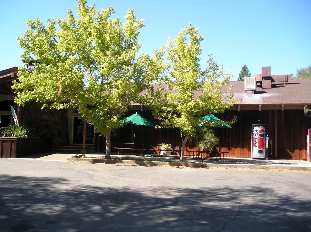 Lake of the Springs Camping Resort Yurt 1 - image 5