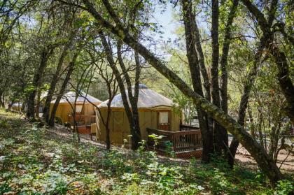 Lake of the Springs Camping Resort Yurt 6 - image 2