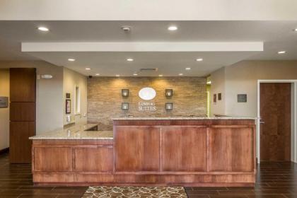 Comfort Suites - Dodge City - image 13