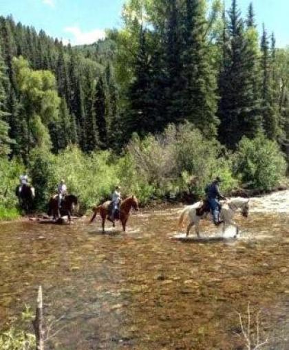 Circle K Ranch - image 9