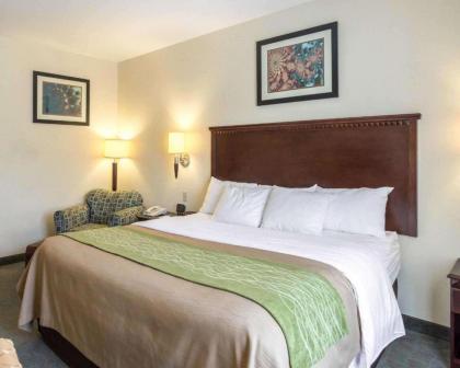 Quality Inn Donaldsonville - Gonzales - image 2