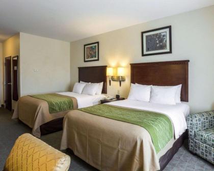 Quality Inn Donaldsonville - Gonzales - image 8