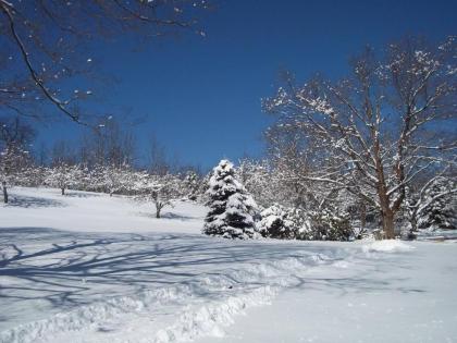 Baneberry Meadows B&B - image 5