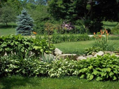 Baneberry Meadows B&B - image 8