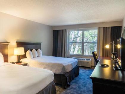 Country Inn & Suites by Radisson Doswell (Kings Dominion) VA - image 3