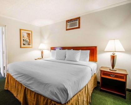 Clarion Inn & Suites Dothan South - image 9