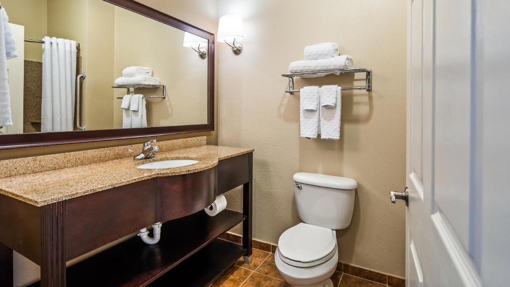 Best Western Dothan Inn & Suites - image 3