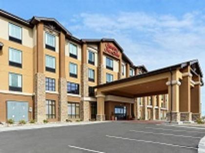 Hampton Inn & Suites Douglas - image 2