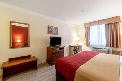 Econo Lodge Inn & Suites Douglasville - image 12