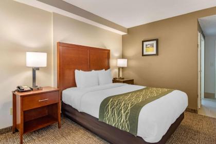 Comfort Inn Douglasville - image 13