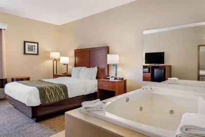 Comfort Inn Douglasville - image 14