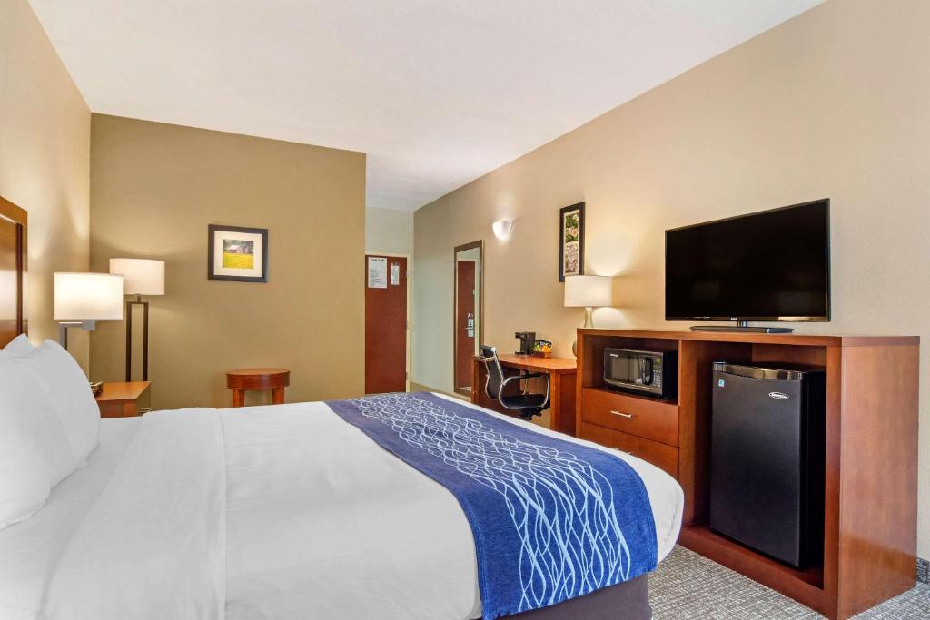 Comfort Inn Douglasville - image 6