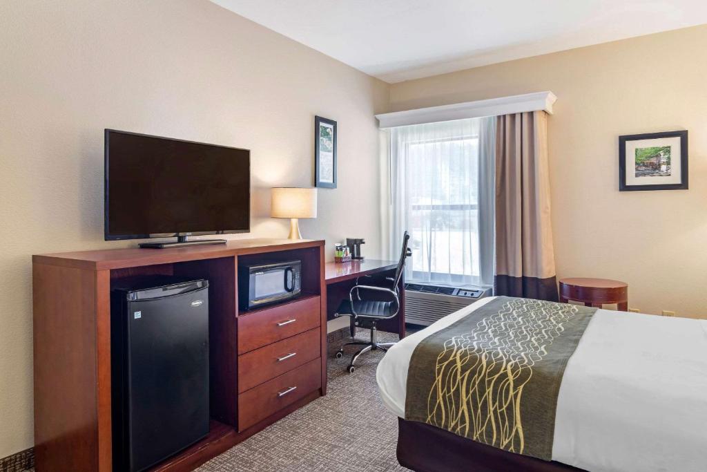 Comfort Inn Douglasville - image 7