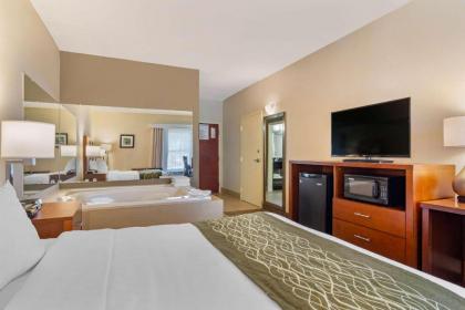 Comfort Inn Douglasville - image 9