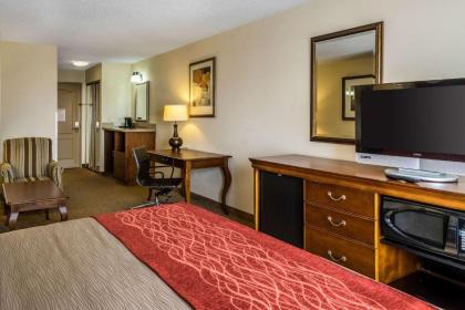 Comfort Inn & Suites Dover - image 12