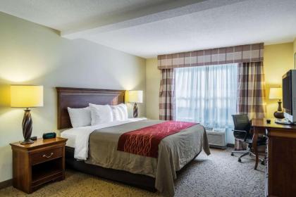 Comfort Inn & Suites Dover - image 3