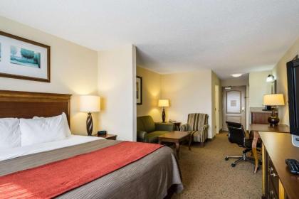 Comfort Inn & Suites Dover - image 9